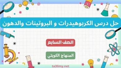 حل درس الكربوهيدرات و البروتينات والدهون للصف السابع الكويت